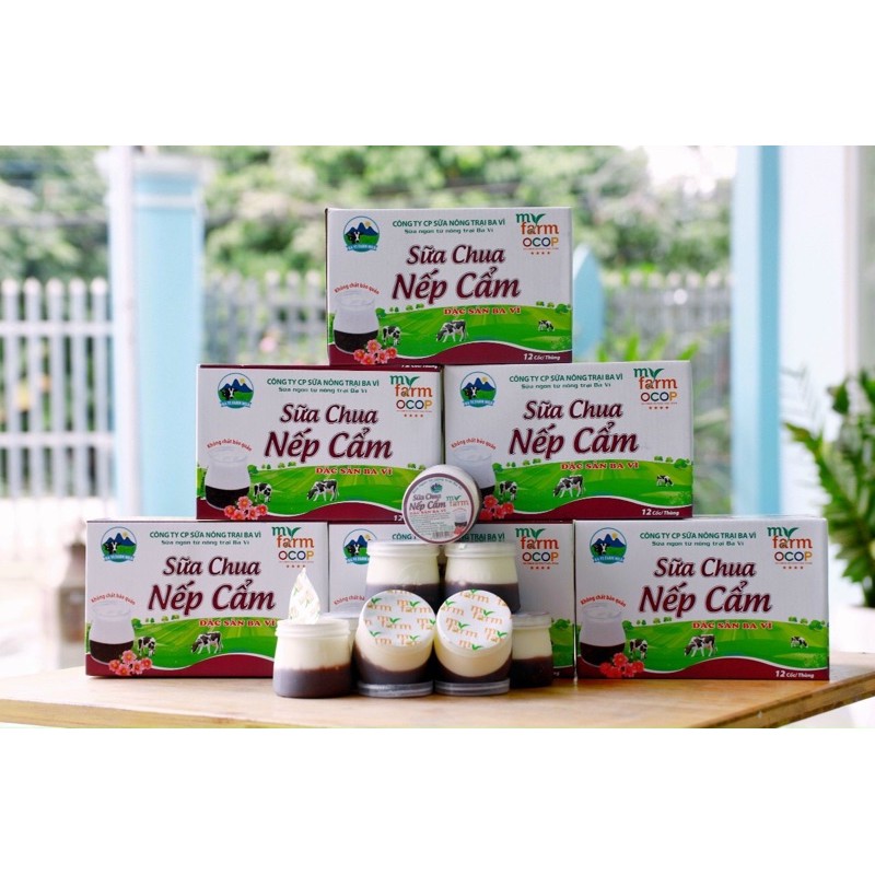 SỮA CHUA NẾP CẨM MYFARM
