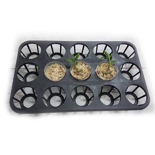 Khay 12 lỗ, 15 lỗ chuyên dùng đựng lan