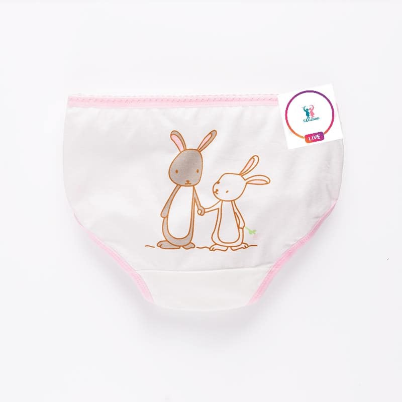 Set 4 Quần Chíp Tam Giác Beautiful Fun cho bé gái từ 9kg-38kg