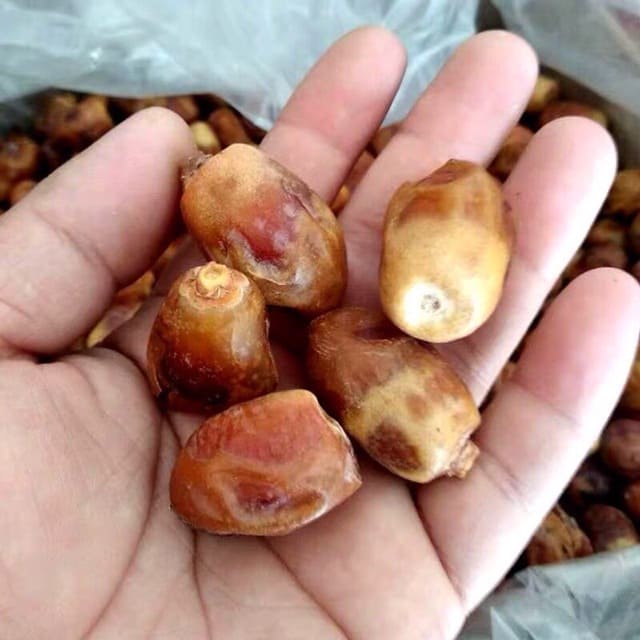 [ Ăn vặt ngon ] Combo 300g Chà là sấy/ Chà là sấy dẻo không đường món ăn vặt tốt cho sức khỏe