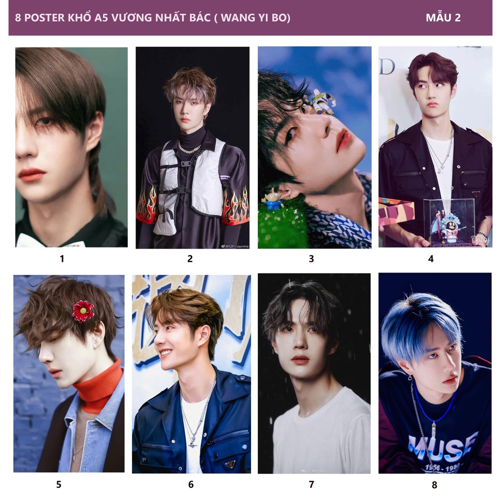 8 POSTER ẢNH KHỔ A5 VƯƠNG NHẤT BÁC ( WANG YI BO)