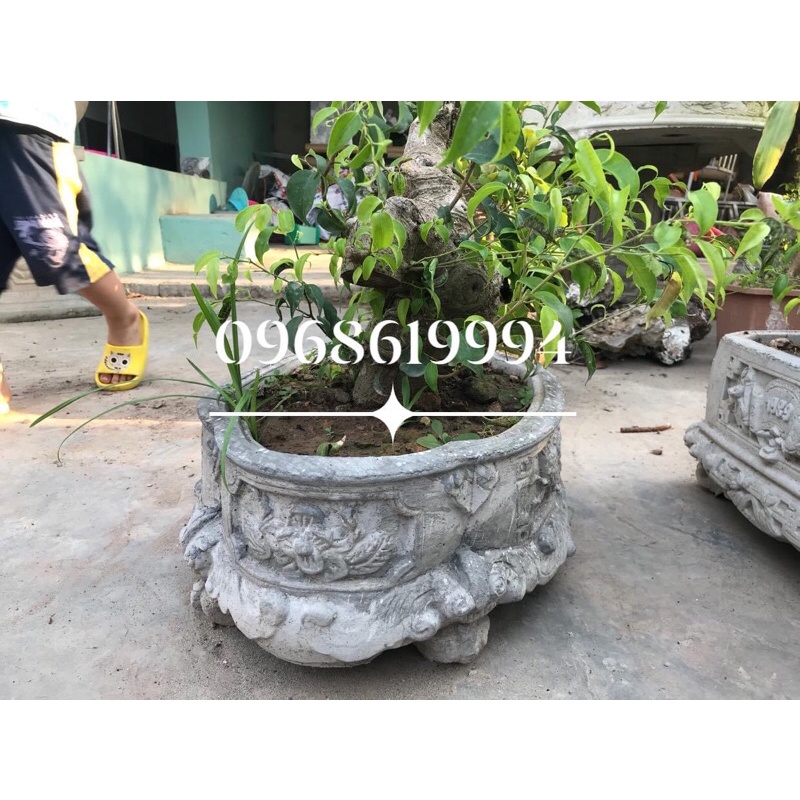 Khuôn Bể khánh mini 50x39x16 có lòng trong đổ úp đáy