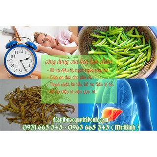 Hoa Kim Châm Đà Lạt 500gr - Hàng Cao Cấp