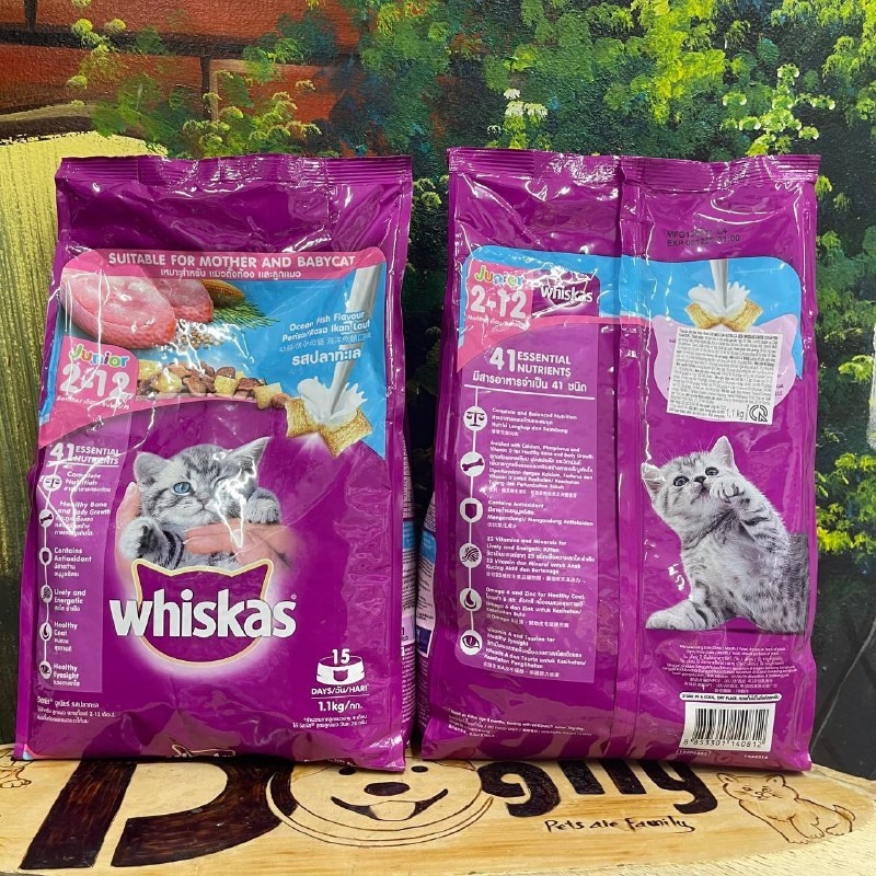 Thức ăn mèo con Whiskas Junior Vị Cá Biển Và Sữa - 1,1kg