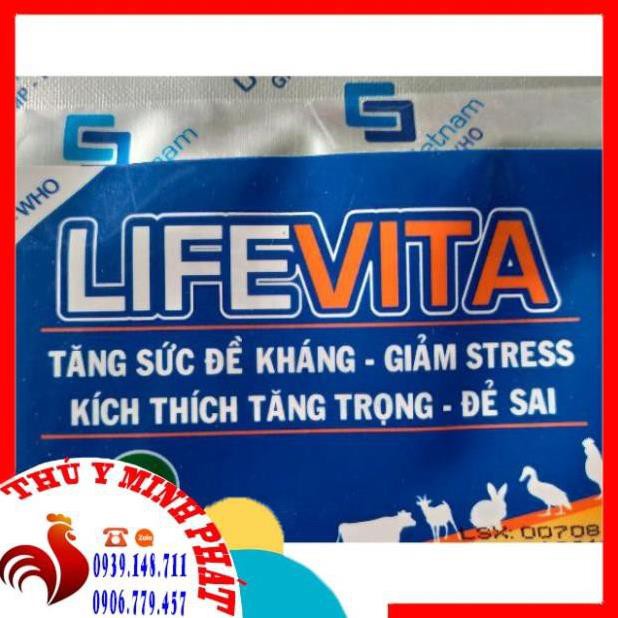 LIFEVITA gói 100gr TĂNG SỨC ĐỀ KHÁNG TĂNG TRỌNG