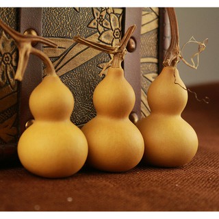 Combo 03 quả bầu hồ lô tự nhiên vật phẩm phong thủy thu hút cát khí, tài lộc, biểu tượng sức khoẻ và trường thọ (8-10cm)