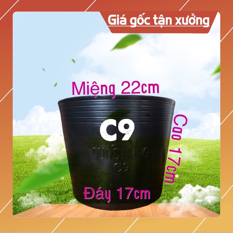 Chậu nhựa đen trồng cây C9 thương hiệu QUỐC HÙNG( dầy dặn)