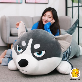 Gấu bông Husky ngáo siêu to