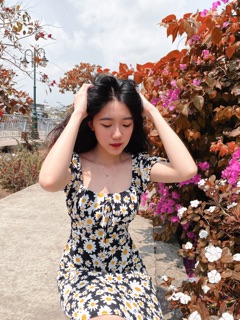 Đầm hoa cúc