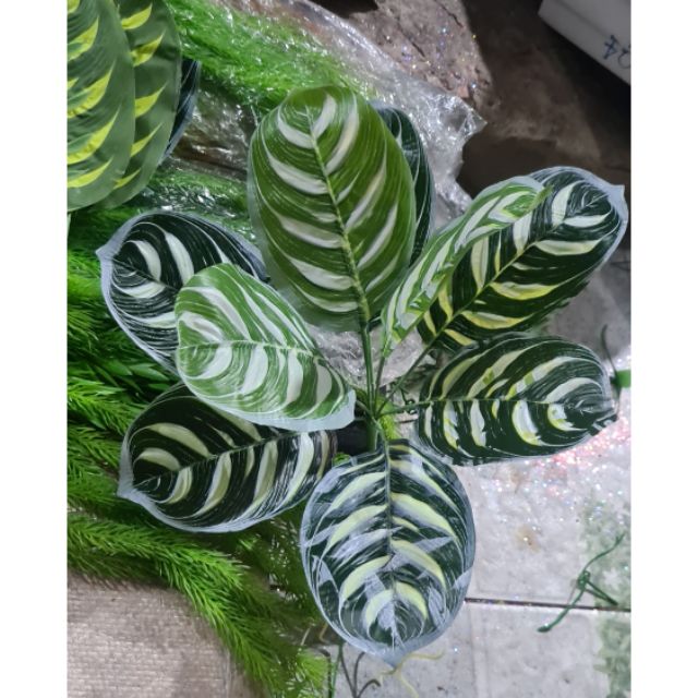 Cụm hoa hồng nhí