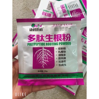 Thuốc Siêu Kích Rễ