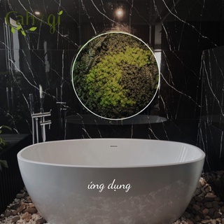 Cây Giả - Cành Rong La Hán