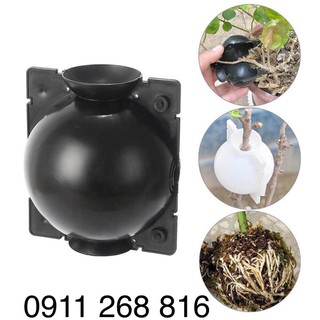 Hộp ươm tạo rễ cây size M