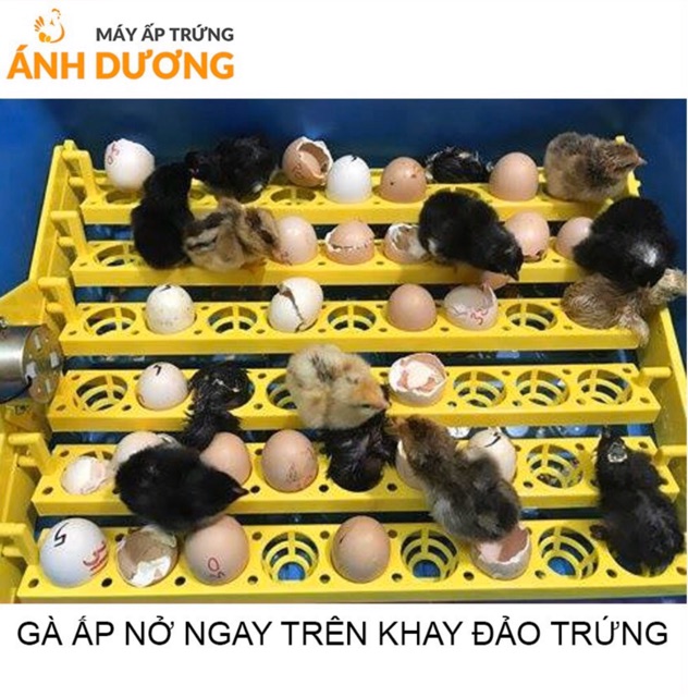 Khay đảo trứng tự động 54 quả làm từ nhựa ABS - Tự đảo trứng