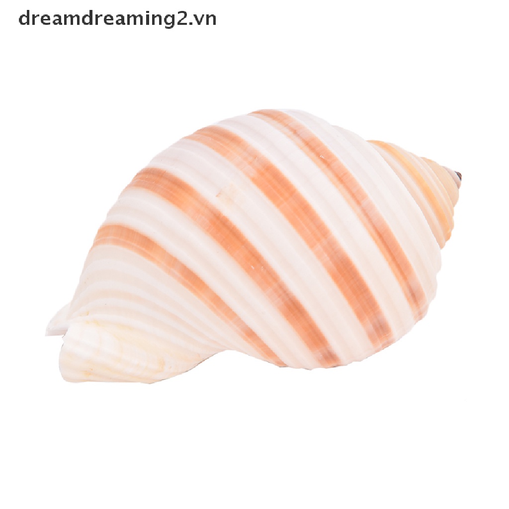 1 Vỏ Vít Phong Cảnh Đẹp