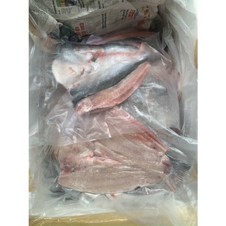 Cá dứa 1 nắng phú quốc con to 1 -1,2kg