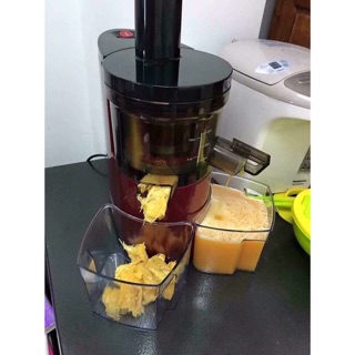 Máy ép chậm SAVTM JE-07