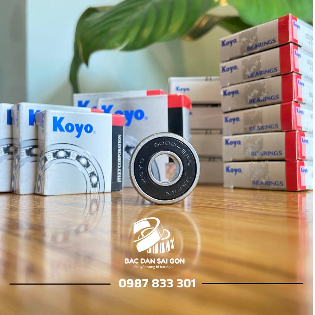 VÒNG BI BẠC ĐẠN KOYO 6204