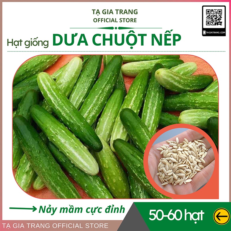 Hạt giống Dưa chuột nếp - Shop hạt giống Tạ Gia Trang