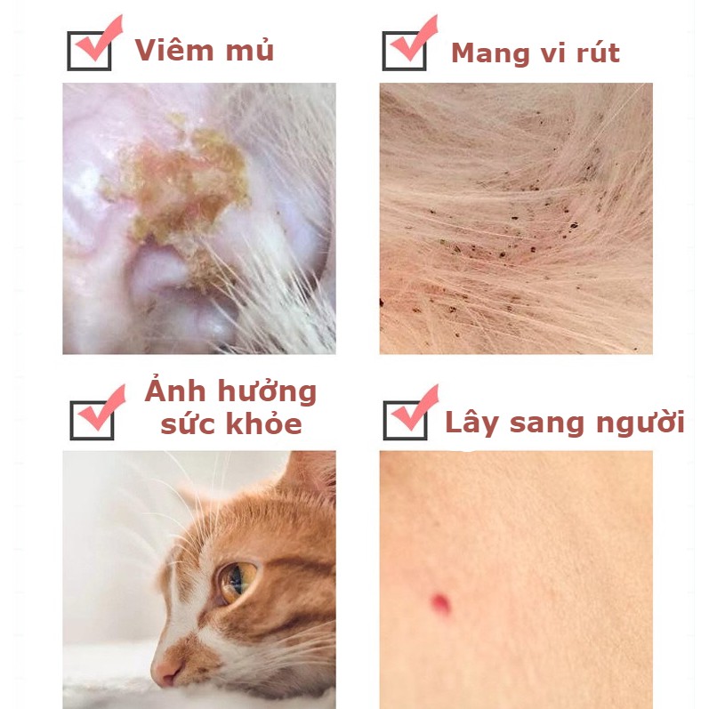 Vòng cổ chống ve rận bọ chét chó mèo - Vòng cổ chống bọ chấy trên da lông thú cưng