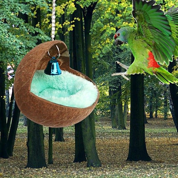 Tổ chim sóc hamster