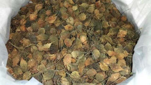 Bột Khổ Qua Nguyên Chất Giảm Mụn, Trắng Da, Mờ Thâm - Mỹ Phẩm Handmade | BigBuy360 - bigbuy360.vn