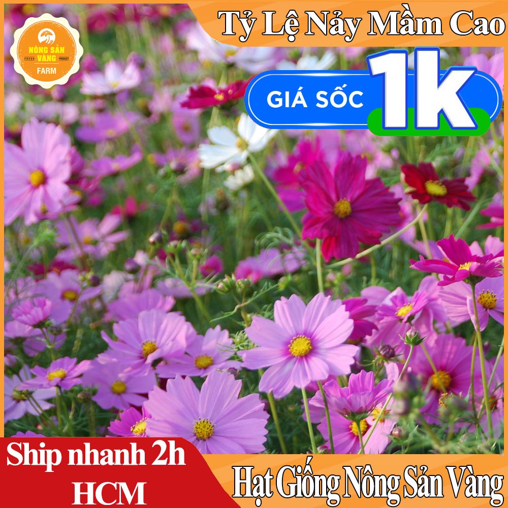 [Mã LIFE20KALL giảm 10% đơn 50K] CHỈ 1K - Hạt giống Hoa Cánh Bướm Nhiều Màu ( Gói 50 hạt ) - Nông Sản Vàng