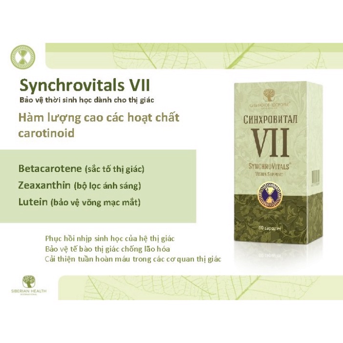 Viên bổ mắt SYNCHROVITALS VII - Siberian Wellness - Hạn chế quá trình thoái hóa điểm vàng - Hộp 60 viên