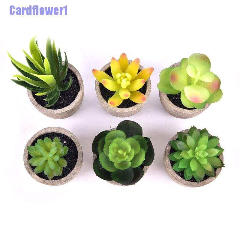 Chậu Cây Giả Mini Trang Trí Sân Vườn