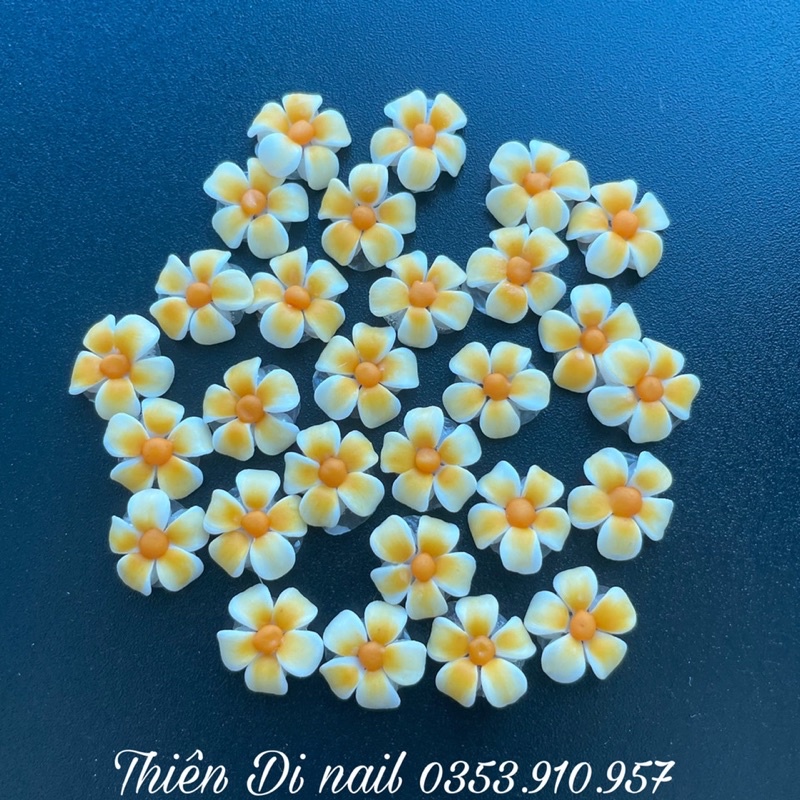 Hoa sứ trang trí nail _hoa bột gắn móng tay dành cho thợ nail hottrend 2023