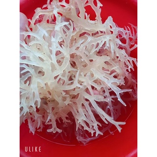 Rong Sụn Khô