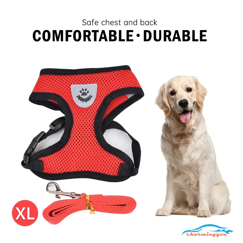 Áo vest yếm và dây xích dắt cún cưng đi dạo loại lưới ngực lưng thoáng khí kiểu thể thao thời trang cho 8-12 kg XIA CY