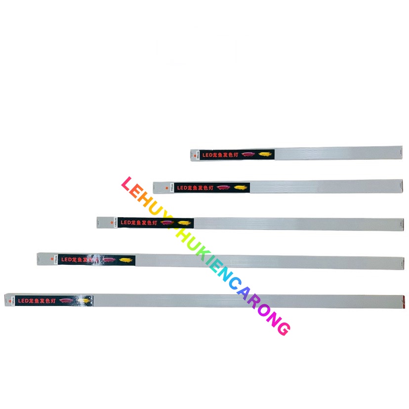 Đèn Led BAOYU Cho Huyết Long - Bối Vàng 4 Hàng Bóng Kích Thước 92cm 112cm 142cm