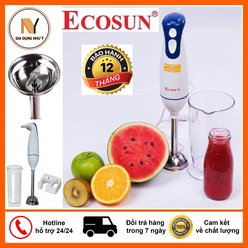 Máy Xay Sinh Tố ⭐️FREESHIP⭐️ Máy Xay Cầm Tay ECOSUN BM-XB31 An Toàn Bền Bỉ