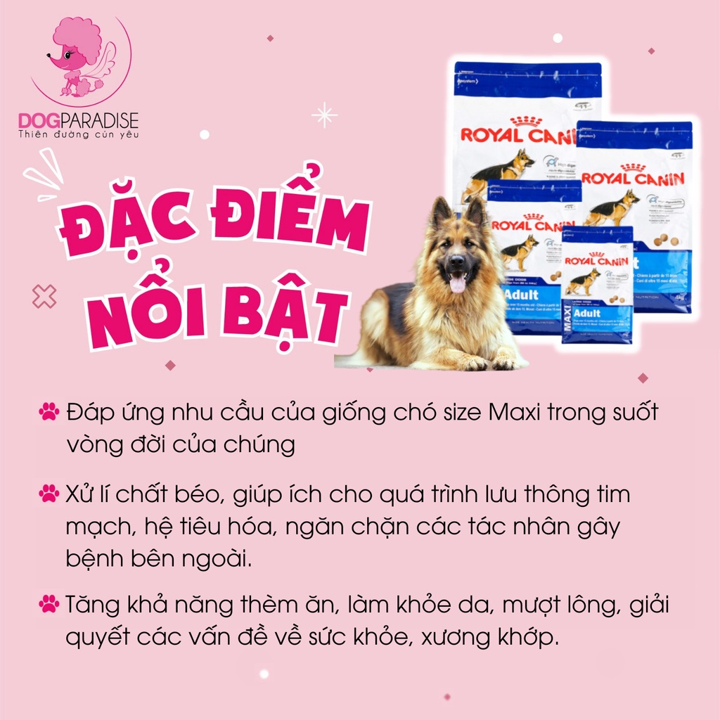 Thức ăn cho chó kích cỡ lớn Royal Canin Maxi Adult cung cấp năng lượng 10kg và 16kg - Dog Paradise