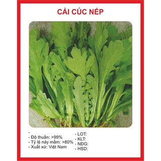 20 gram Hạt giống rau Cải Cúc Nếp Cao sản