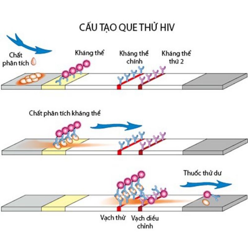 Bộ Test nhanh HIV tại nhà ( dạng que test ) đơn giản, dễ sử dụng,chính xác - Soleil Home