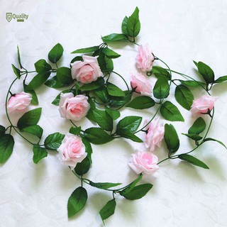 Dây hoa hồng trang trí cửa sổ nhà cửa