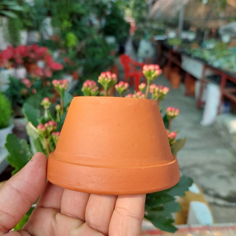 Chậu đất nung, Chậu sen đá - Ly gờ 95, miệng chậu 9cm, chiều cao 5cm