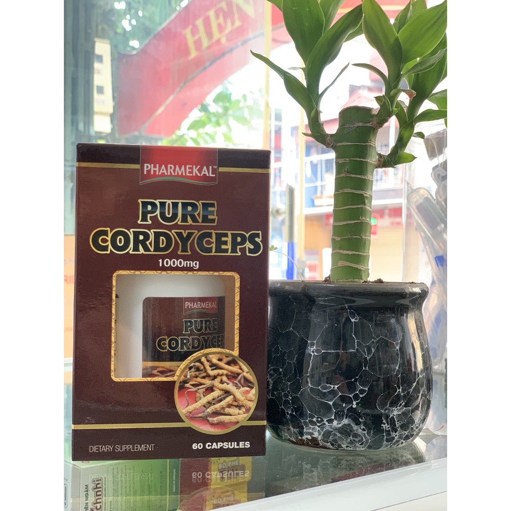 đông trùng hạ thảo Pure Cordyceps 1000mg. Chống suy nhược cơ thể, tăng miễn dịch,tăng tuần hoàn máu,khi ốm dậy