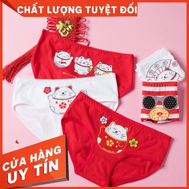 [ LUCKY_CAT ] [ HÀNG MỚI 2020 ] Set Quần Chip Mèo Thần Tài - Cotton Thun Co Dãn - Phù Hợp Với Da Nhạy Cảm - Kèm Túi Zip!