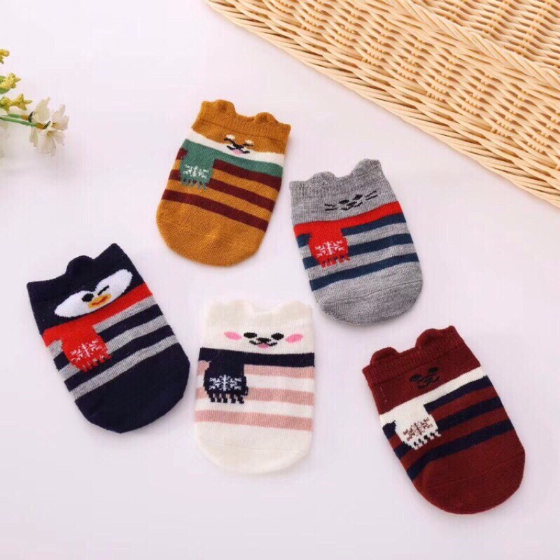 SET 5 đôi tất cổ ngắn QUB KID Chống trơn