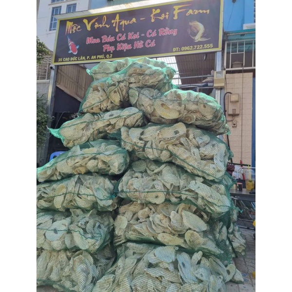 Vỏ hàu ion đá được gia nhiệt theo công nghệ của trại Cá Koi nhật bản 1kg