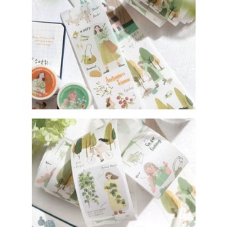 Set chiết washi Through the seasons
