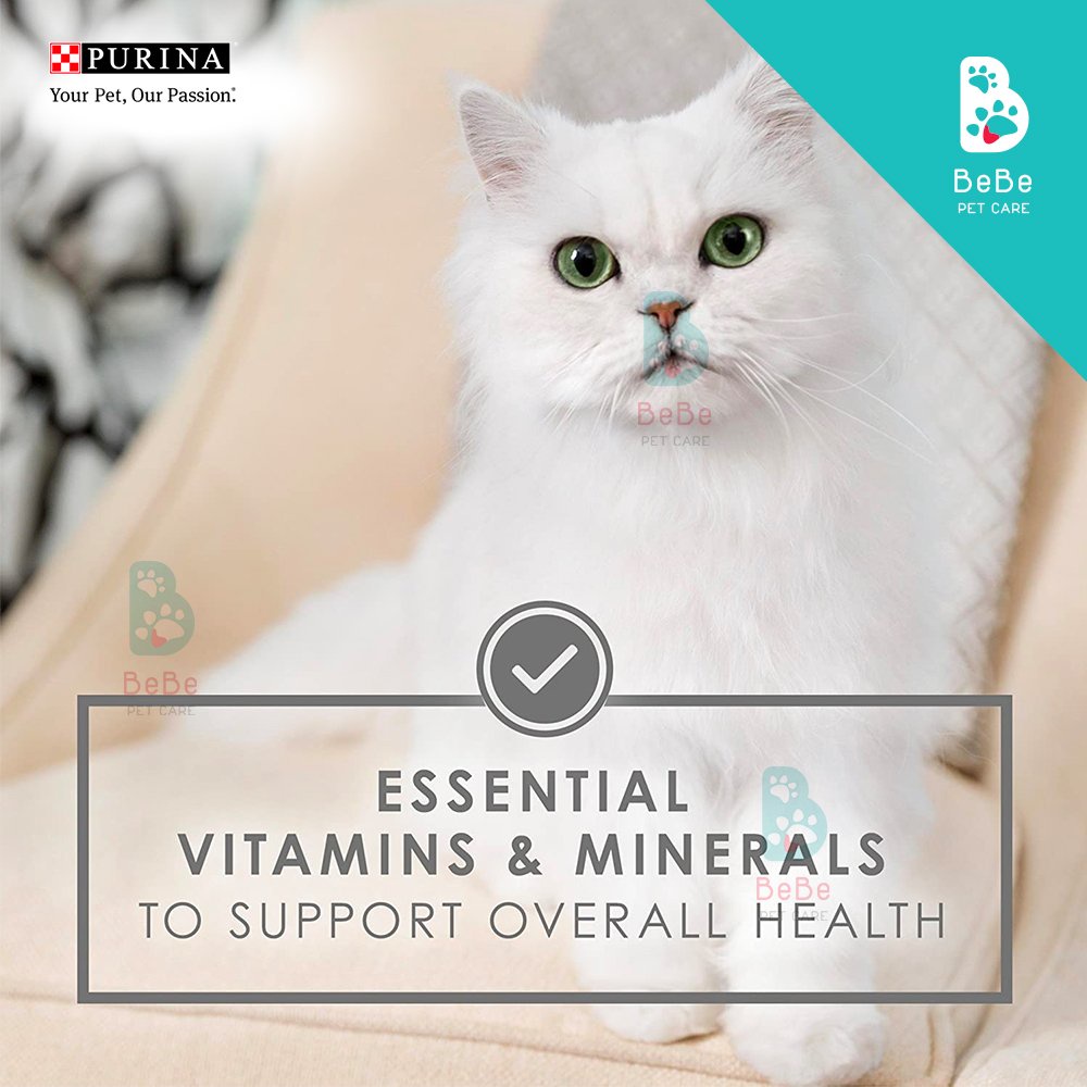 Pate FANCY FEAST Gourmet Naturals Cao Cấp Dành Cho 'Paw-Boss' - Nhãn Hiệu Pate Cho Mèo Được Yêu Thích Trên Toàn Thế Giới