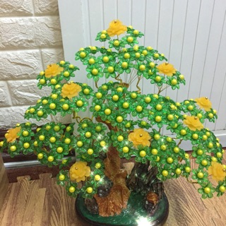 Combo kim tiền tài lộc