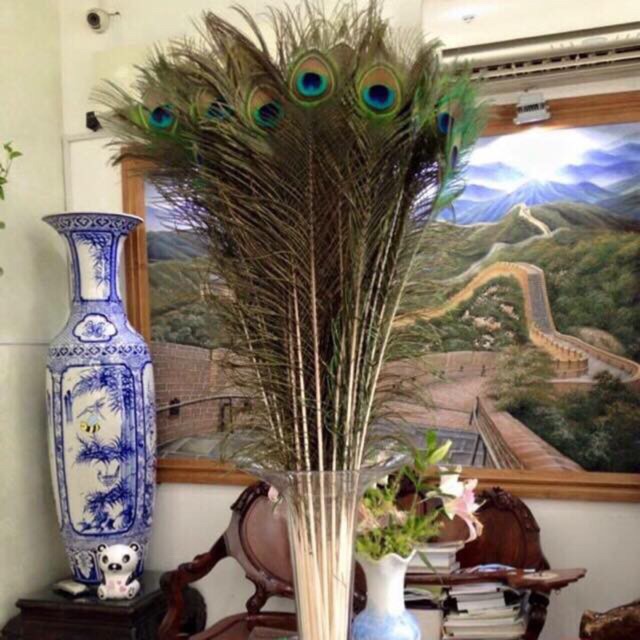 30 lông công 68cm LOẠI 1, to đẹp | BigBuy360 - bigbuy360.vn