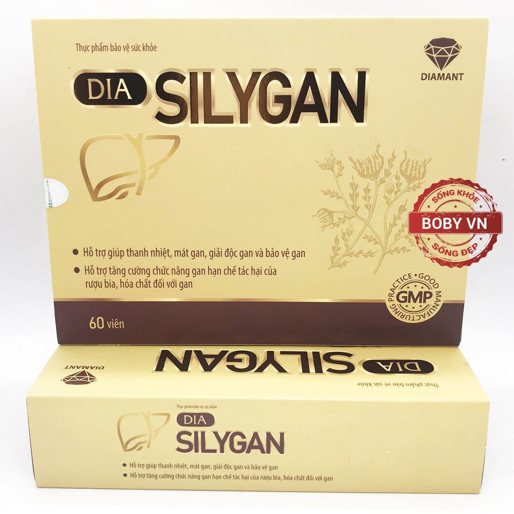 Dia Silygan thanh nhiệt, mát gan, giải độc gan và bảo vệ gan, hạn chế tác dụng của rượu bia, hóa chất đối với gan