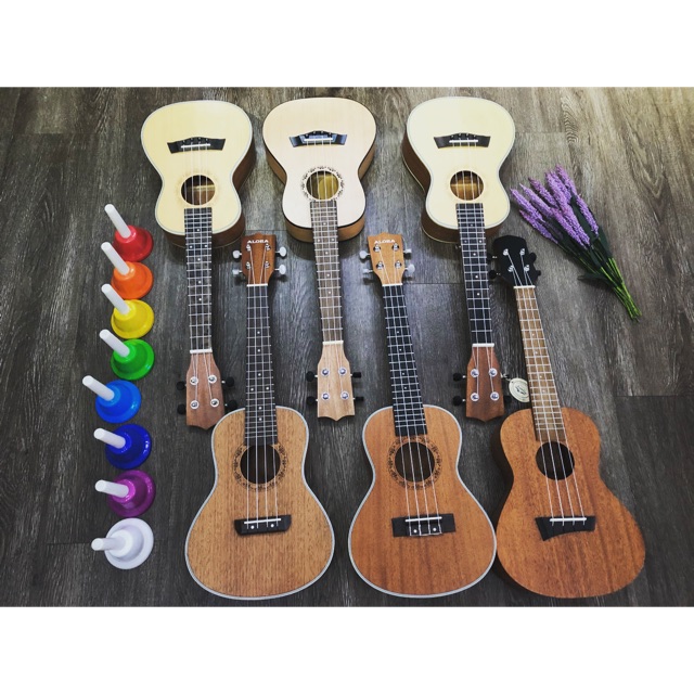 Ukulele Concert Full gỗ sale off mùa hè!