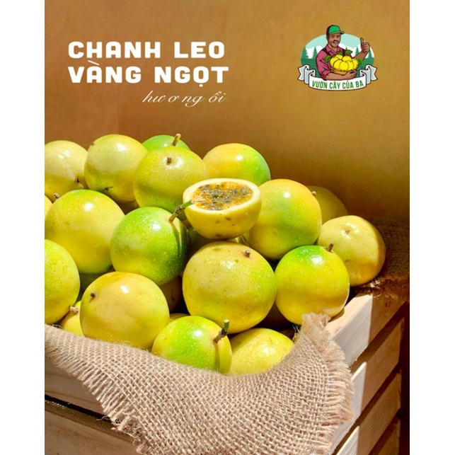 Cây chanh dây ngọt hoàng kim